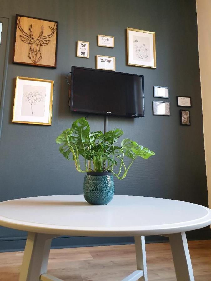 Apartament Superbe T2 De 45M² En Hyper Centre La Rochelle  Zewnętrze zdjęcie